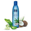 Picture of Parachute Advansed Aloevera Coconut Hair Oil 250ml