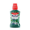 Picture of Colgate Max Fresh Plax Mouthwash Fresh Mint 250ml