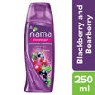 Picture of Fiama Shower Gel Blackcurrant & Bearberry 250ml