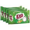 Picture of Exo Anti-bacterial Touch & Shine Ginger Twist : 480g