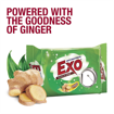 Picture of Exo Anti-bacterial Touch & Shine Ginger Twist : 480g