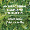 Picture of Himalaya Purifying Neem Face Wash 50ml