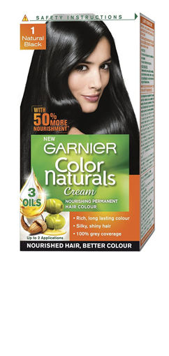 Picture of Garnier Color Naturals Men 1 Natural Black 30 G
