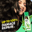 Picture of Hair & Care Aloe Vera Oil Olive Oil & Green Tea Oil 250ml