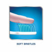 Picture of Sensodyne Sensitive Gentle On Teeth Brush 1n