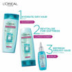 Picture of Loreal Paris Purifying & Hydrating Shampoo 704ml