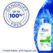 Picture of Head & Shoulders Cool Menthol Anti Dandruff Shampoo 650ml