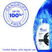 Picture of Head & Shoulders Silky Black Anti Dandruff Shampoo 650ml