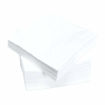 Picture of Jackson Party Tissue 100 Sheets