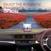 Picture of AmbiPur Car Fresh Relaxing Romantic Rose 75 gm