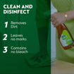 Picture of Dettol Anti Surface Disinfectant 500ml