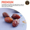 Picture of Medjoul Dates 500g