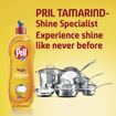 Picture of Pril Tamarind Shine Specialist 750ml