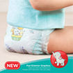 Picture of Pampers All-round Protection  L  9-14kg 7 Pants