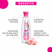 Picture of Dabur Gulabari Rose Water 250ml