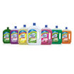 Picture of Lizol Disinfectant Surface Pine Cleaner975ml