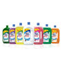 Picture of Lizol Disinfectant Surface Cleaner Floral 975ml