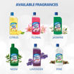 Picture of Lizol  Jasmine Surface  Cleaner 975ml