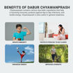 Picture of Dabur Chyawanprash 250 Gm