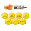 Picture of Dabur Honey Squeezy 225 Gm