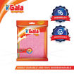 Picture of Gala Sponge Wipe 3n