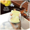 Picture of Scotch-Brite Scrub Sponge Ideal for dishwash liquid Small