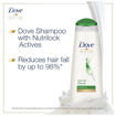 Picture of Dove Hair Fall Rescue Shampo 340ml