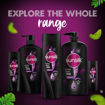 Picture of Sunsilk Stunning Black Shine Shampoo: 180ml