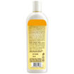 Picture of Lever Ayush Anti Hairfall Bhringaraj Shampoo 330ml