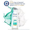 Picture of Dove Clean & Fresh Shampoo  80 Ml