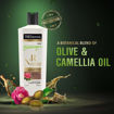 Picture of Tresemme Botanique Conditioner With Olive & Camellia Oil 190ml