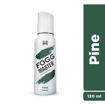 Picture of Fogg Master Pine Fragrance Body Spray 120ml