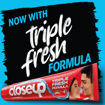 Picture of Closeup Triple Fresh Formula  Tooth Paste 80g