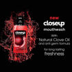 Picture of Closeup Mouthwash Red Hot 500ml