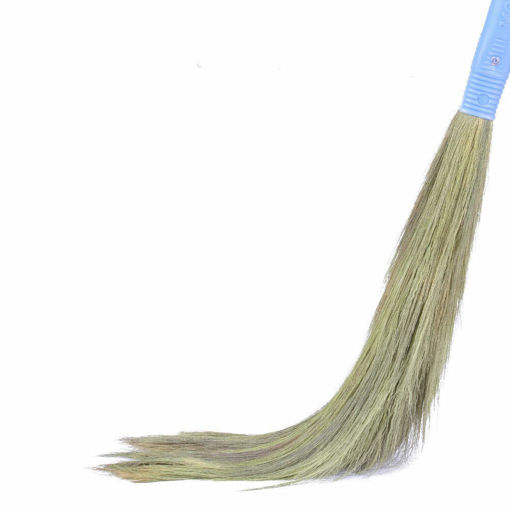 Picture of Monkey Grass Broom Soft 555 1N