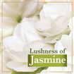 Picture of Lux Velvet Glow Jasmine & Vitamin E Soap 5U 750g