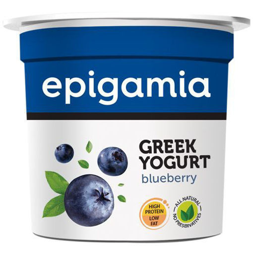 Picture of Epigamia Greek Yogurt Blueberry 90gm