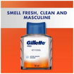 Picture of Gillette Pro Icy Cool 50ml